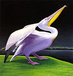 Pelican no. 1