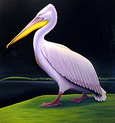 Pelican no. 2